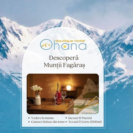 Ohana Boutique Hotel Vistea de Sus Экстерьер фото