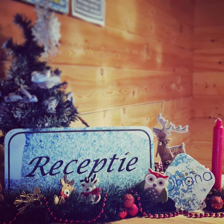 Ohana Boutique Hotel Vistea de Sus Экстерьер фото