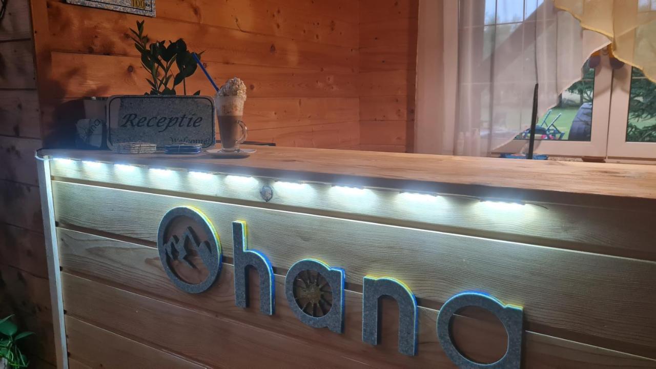 Ohana Boutique Hotel Vistea de Sus Экстерьер фото