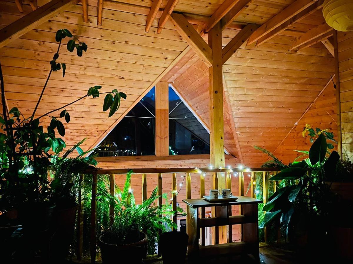 Ohana Boutique Hotel Vistea de Sus Экстерьер фото