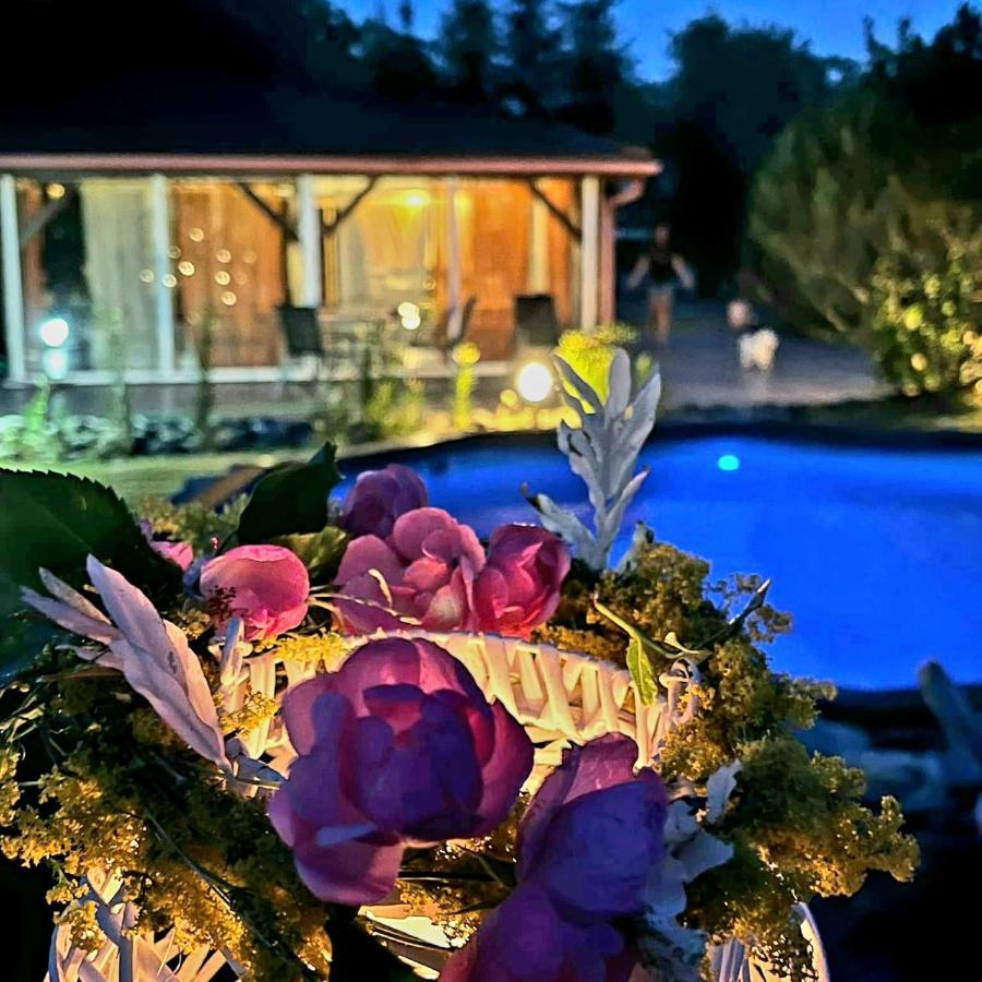 Ohana Boutique Hotel Vistea de Sus Экстерьер фото