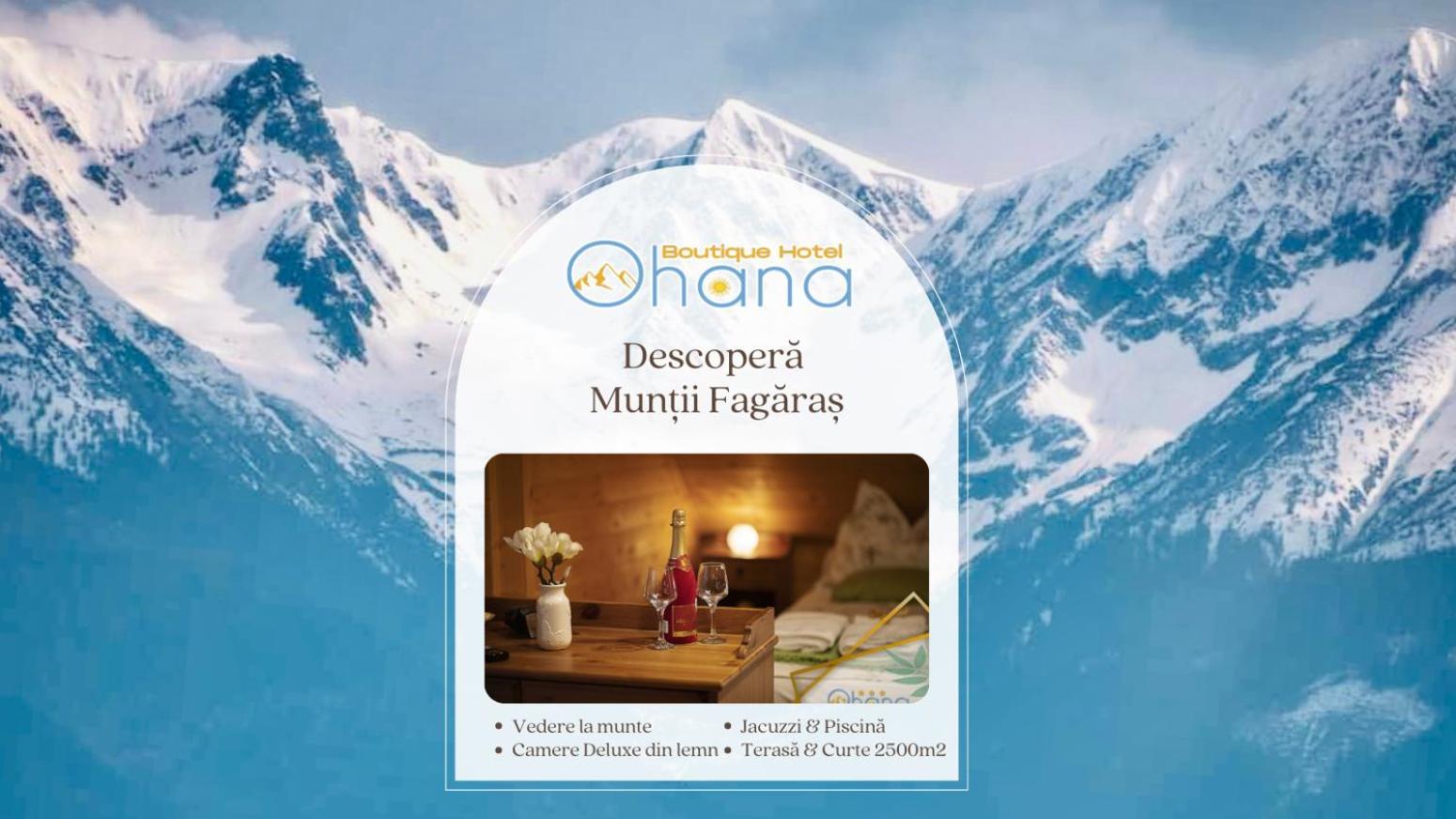 Ohana Boutique Hotel Vistea de Sus Экстерьер фото